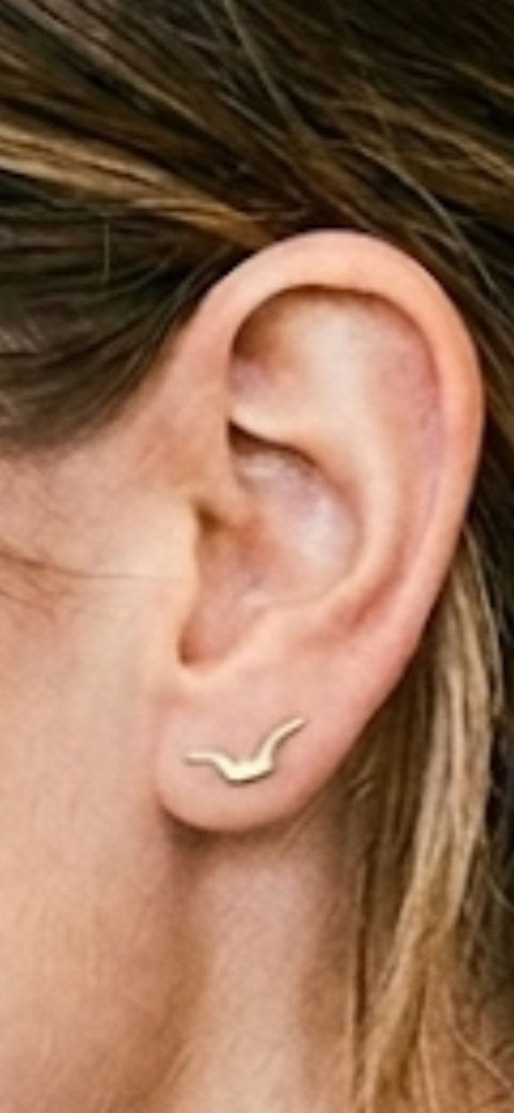Bridge Over Time Signature Stud Earrings